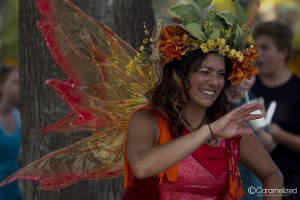 Florida Renaissance Festival 2017