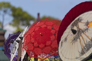 Florida Renaissance Festival 2017