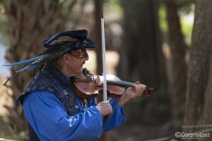 Florida Renaissance Festival 2017