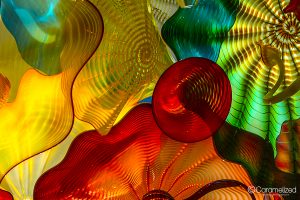 Morean Arts Center - Chihuly