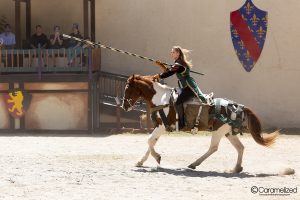 Georgia Renaissance Festival 2018