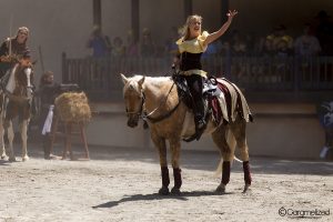 Georgia Renaissance Festival 2018