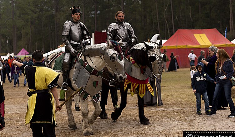 Hoggetowne Medieval Faire 2016