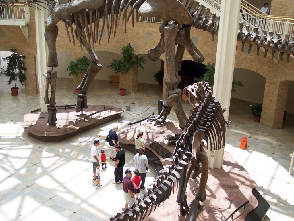 Asian Trip 2004 Fernbank Museum