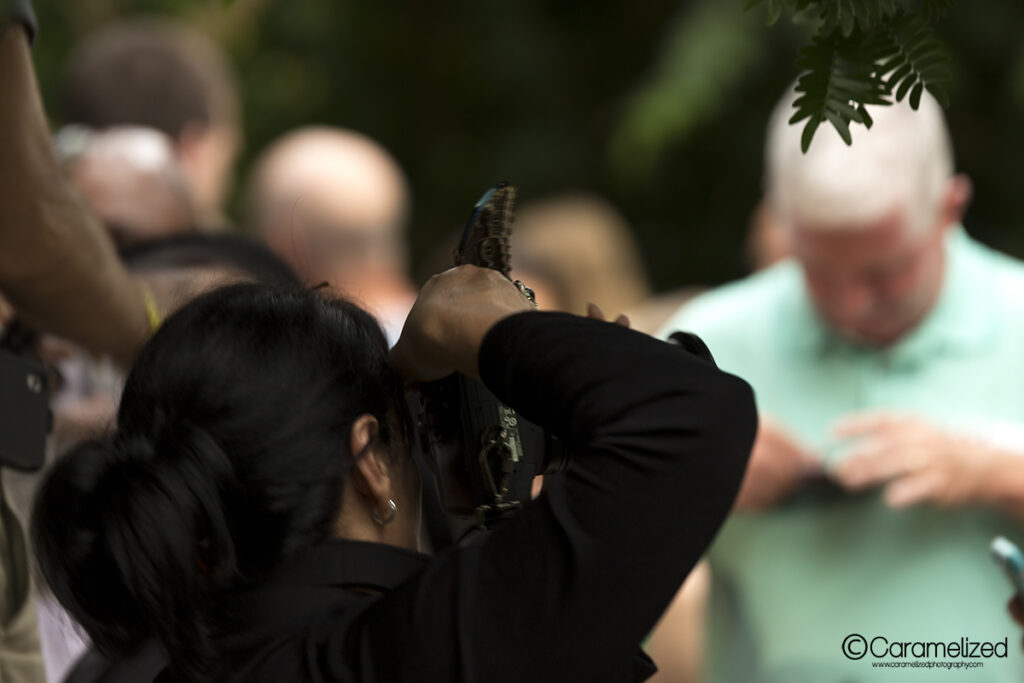 Blue Morpho Reception